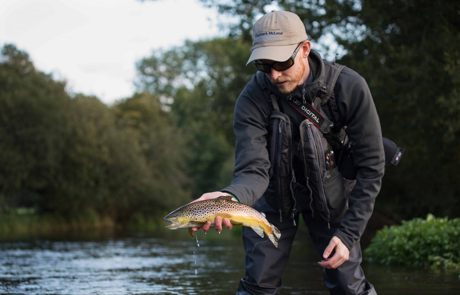 Chalkstream River Itchen Dry Fly Fishing Aardvark Mcleod