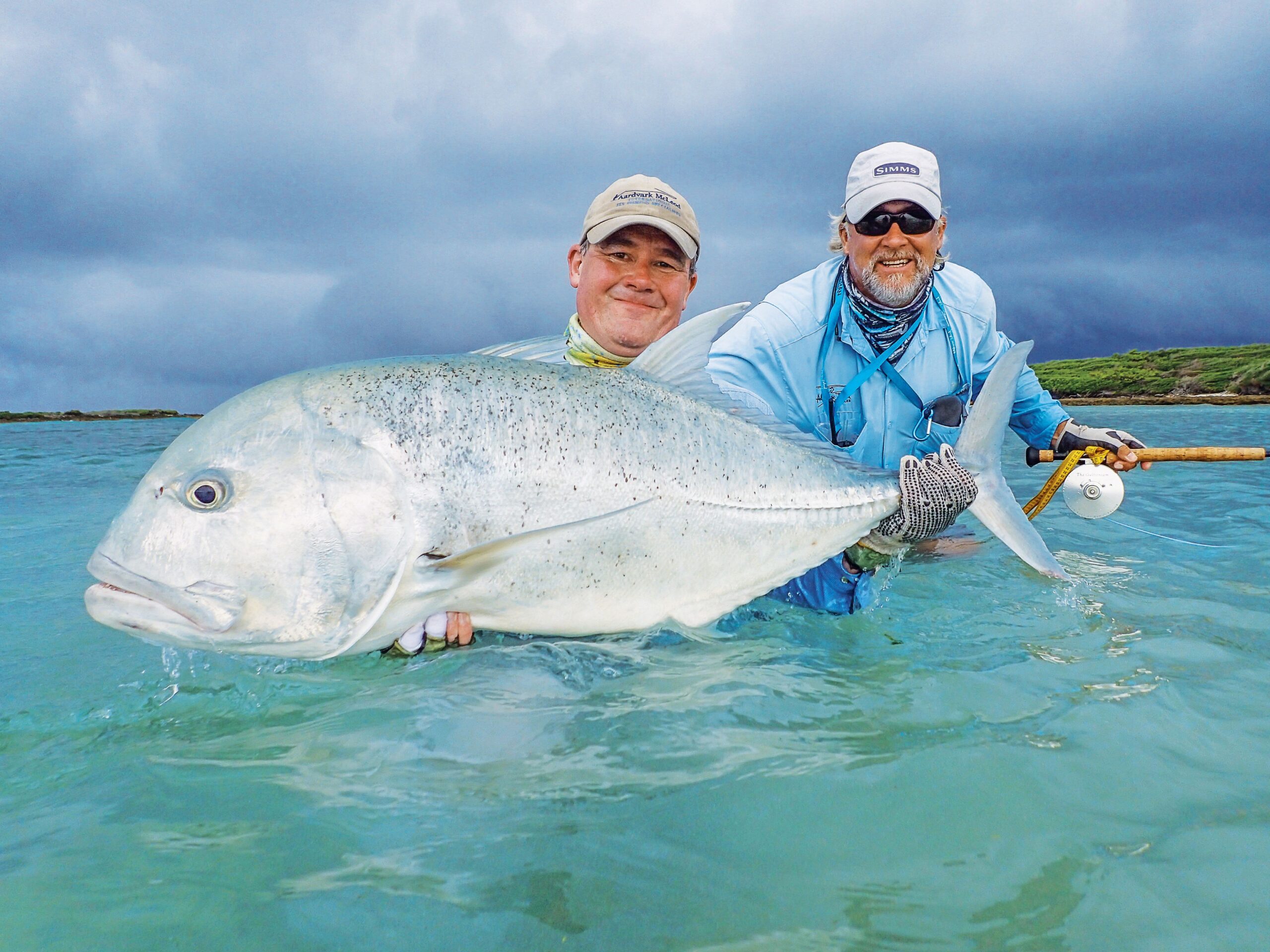 Seychelles Astove Atoll Fishing News Season Aardvark Mcleod