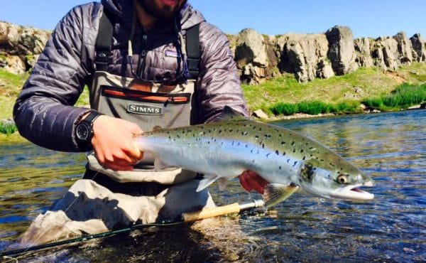 Langa, salmon fishing, Iceland, Iceland Guide