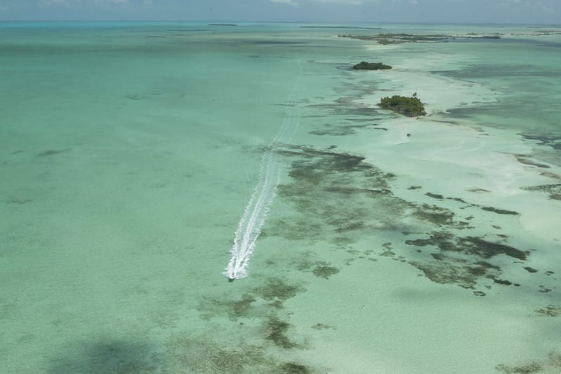 Casa Blanca, Mexico salt water fly fishing, Yucatan fly fishing, Aardvark McLeod