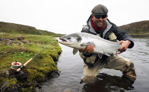 Atlantic salmon, Hafralonsa, Iceland