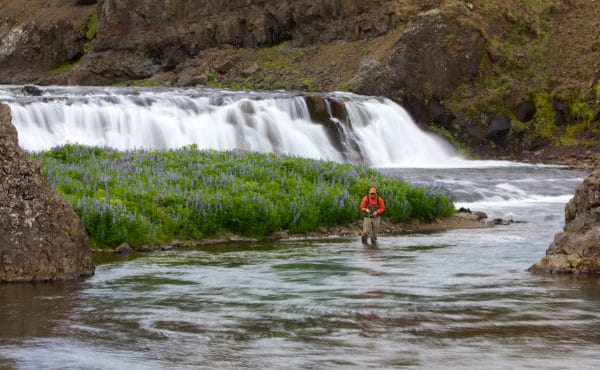 Grimsa River, Iceland, Aardvark McLeod, salmon fishing, Atlantic Salmon