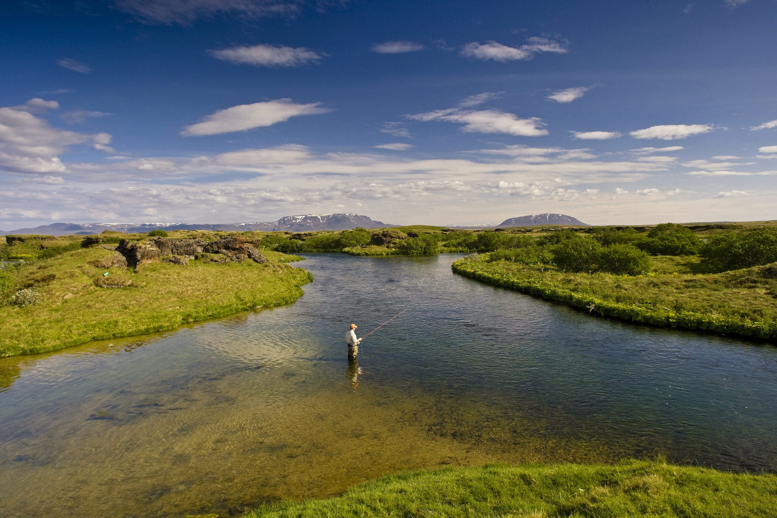 Iceland Giants - Why is Iceland such a prolific hunting ground for big ...