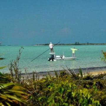 Cayo Largo, Cuba, Aardvark McLeod