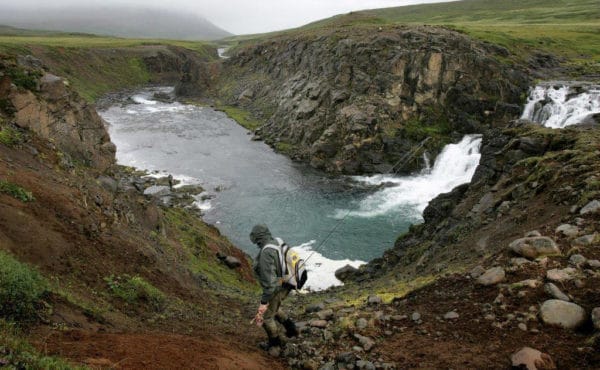 Svalbardsa, Iceland, salmon, Aardvark McLeod, Icelandic Fishing Guides, fishing in Iceland