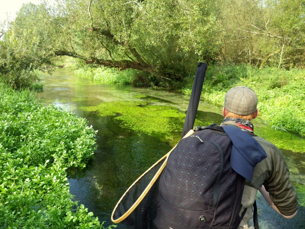 Bourne Rivulet, Hampshire chalkstream fishing, trout fishing, Aardvark McLeod, fishing the River Test