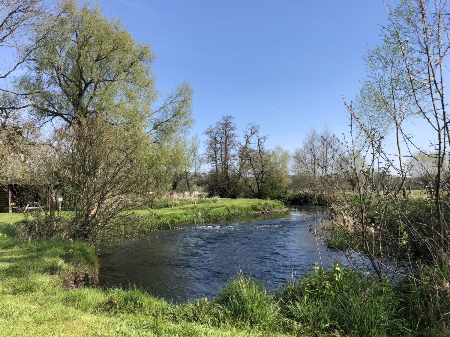 Chalkstream Fly Fishing the River Nadder - Aardvark Mcleod