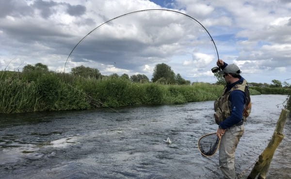 River Frome Chalkstream fly fishing, Dry Fly Fishing, Alex Jardine, Aardvark McLeod Dry Fly Fishing