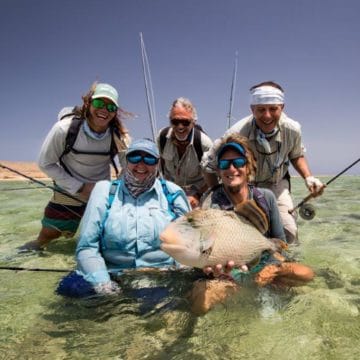 Sudan, triggerfish, titan triggerfish, yellow margin triggerfish, GT, bluefin trevally