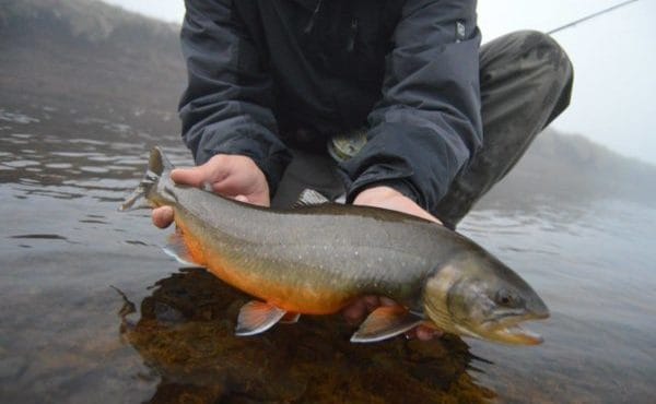 Iceland Highlands, arctic char fishing, Iceland fishing guide, Aardvark McLeod, fishing in Iceland