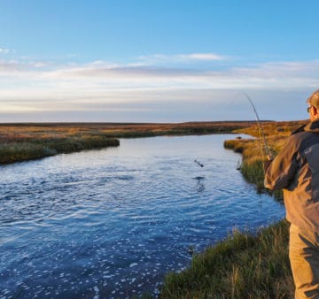 Deildara, Iceland, Salmon Fishing, Aardvark McLeod