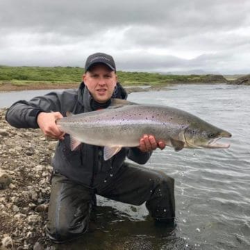 Grimsa, Iceland, Aardvark McLeod