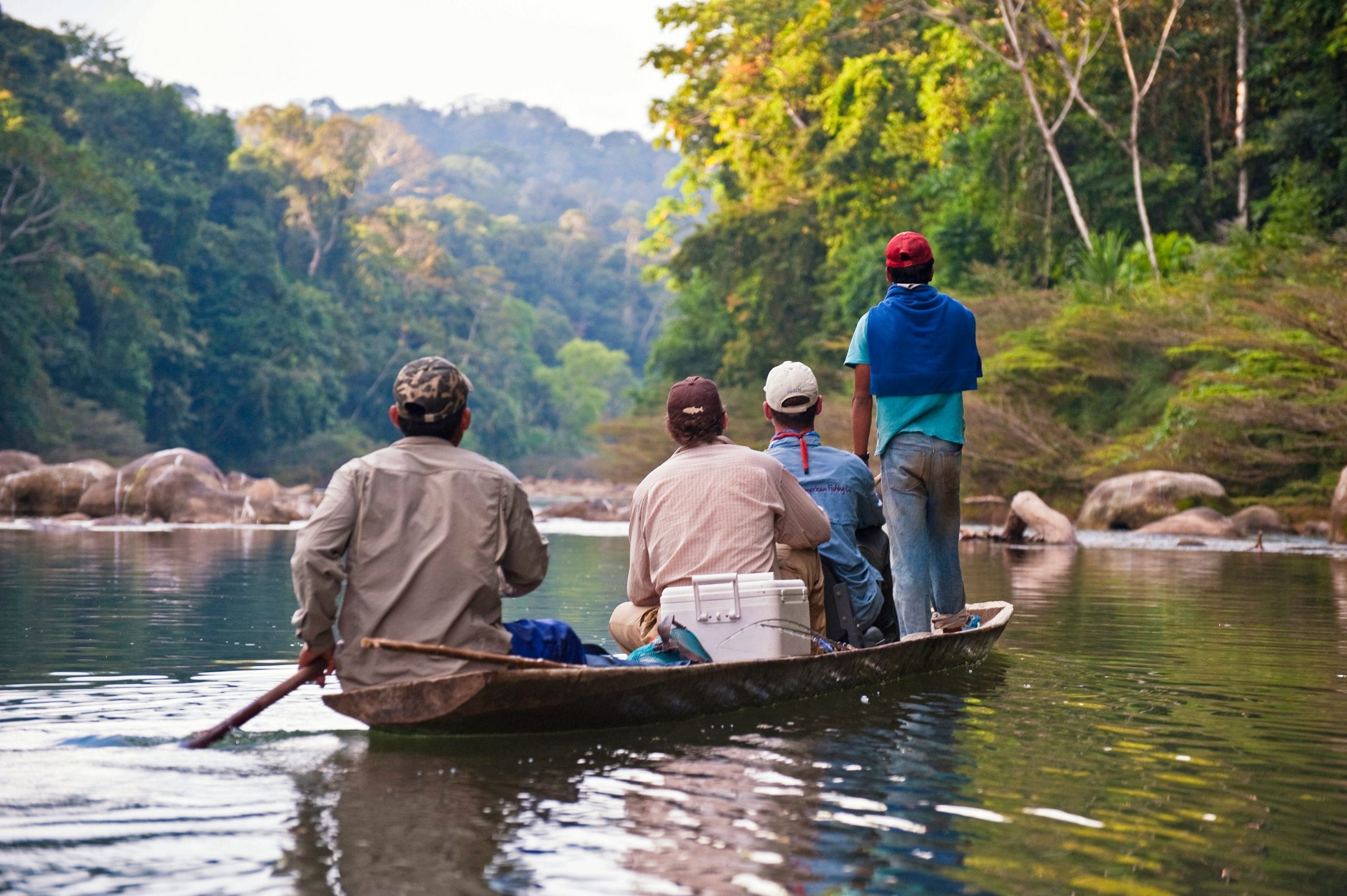 Tsimane, Golden Dorado, Aardvark McLeod