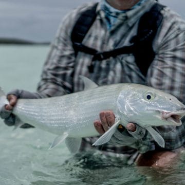 Alphonse Island, St Francois atoll, Seychelles, fishing Astove, fishing in Seychelles, GTs, giant trevally, bonefish, triggerfish, permit, Aardvark McLeod