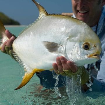 Alphonse Island, St Francois atoll, Seychelles, fishing Astove, fishing in Seychelles, GTs, giant trevally, bonefish, triggerfish, permit, Aardvark McLeod