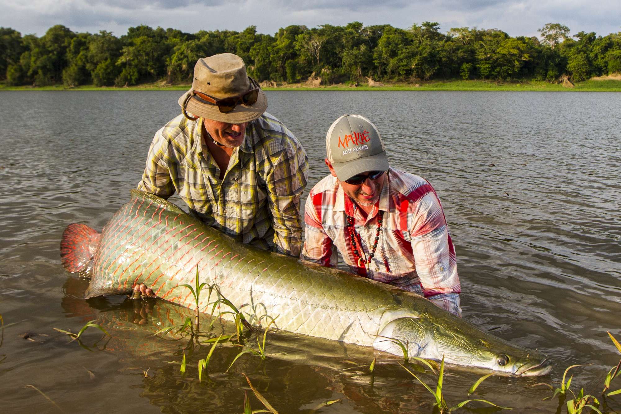 Brazil; Pirarucu Lodge - fly fishing for monster arapaima. 2019