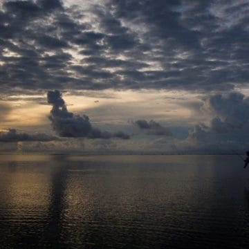 Alphonse Island, Seychelles, Tim Hughes, Aardvark McLeod