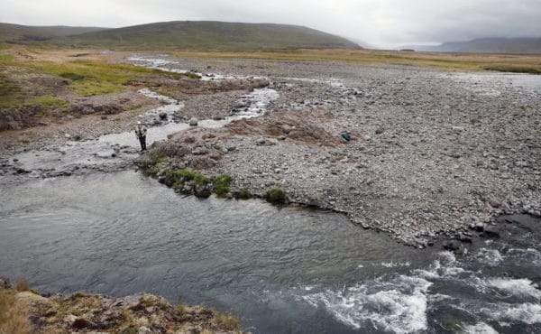 Haukadalsa, Iceland, Aardvark McLeod, salmon, trout, Iceland Fishing Guide, fishing in Iceland