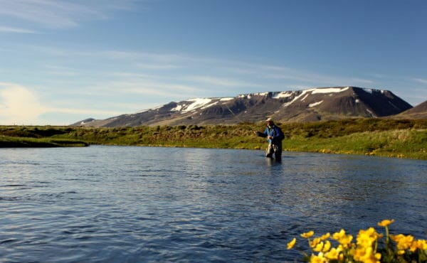 Trout Fishing Fremri Asum Iceland