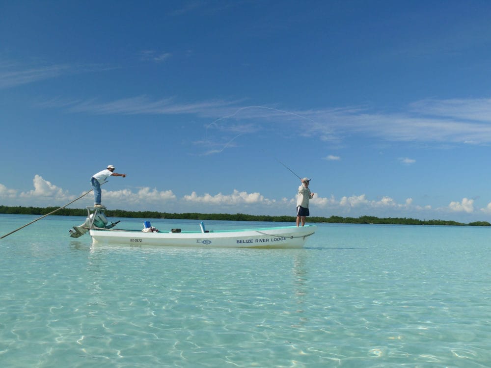 Belize River Lodge, Long Caye Outpost, Belize, Aardvark McLeod