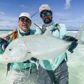 Astove, Triggerfish, Aardvark McLeod