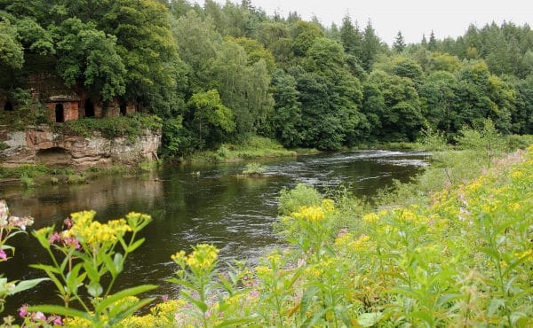 River Eden Cumbria Fly Fishing, Tufton Arms Cumbria, Cumbria Salmon Fly Fishing, Cumbria Trout Fly fishing