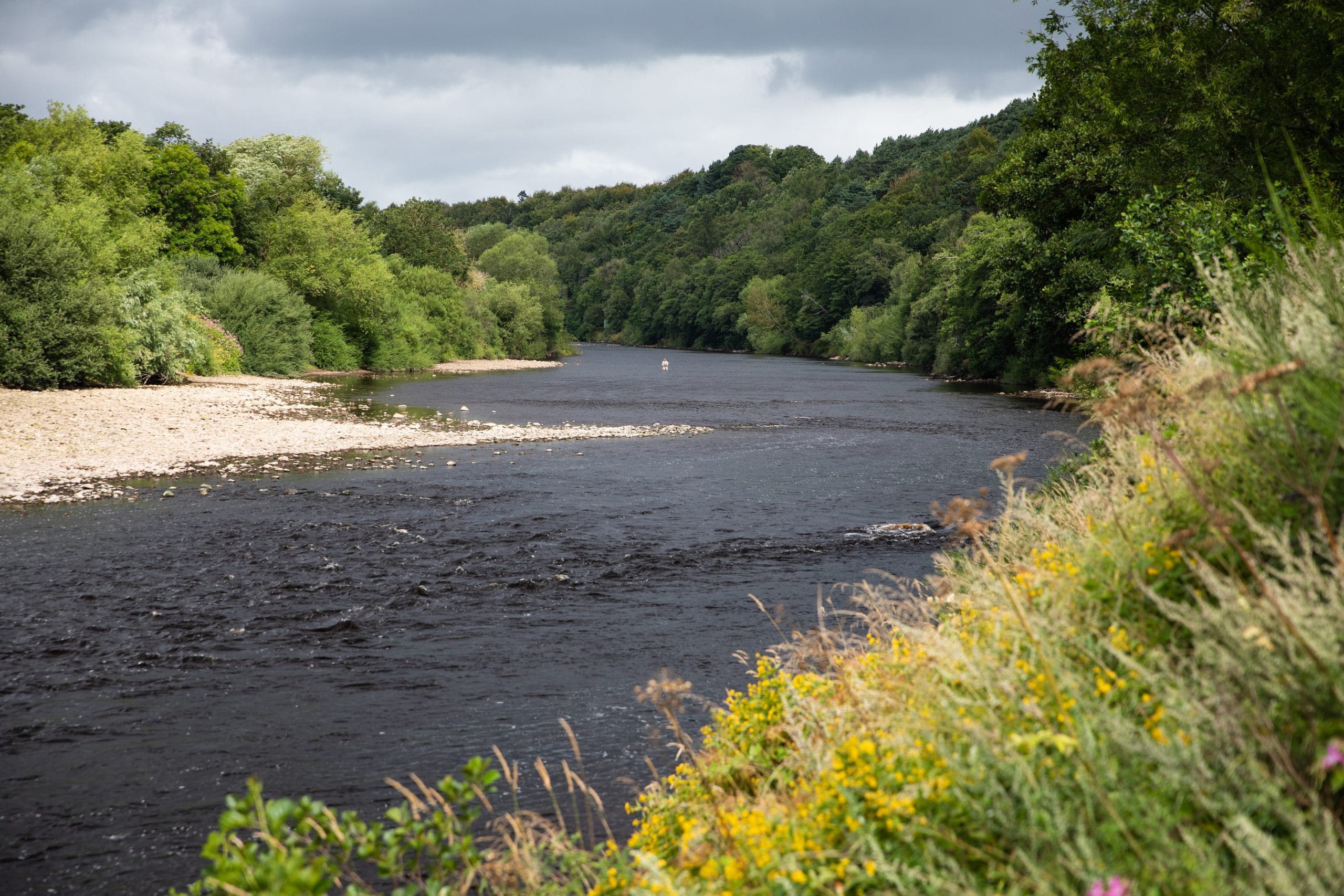 UK River Tyne Salmon Fishing 2021 - Aardvark McLeod