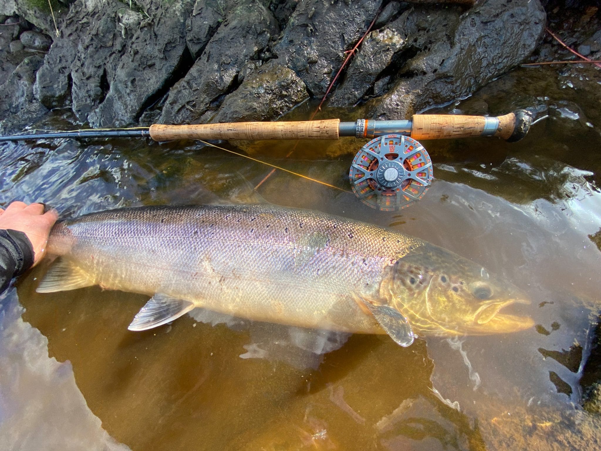 UK River Tyne Salmon Fishing 2021 - Aardvark McLeod