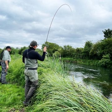 Mayfly, chalkstream, river test, river anton, river avon,