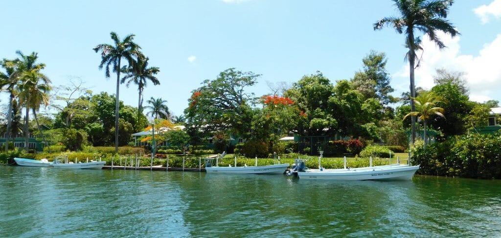 Belize River Lodge, saltwater fishing Belize, bonefishing Belize, permit Belize, tarpon Belize, saltwater fishing Belize, Aardvark McLeod