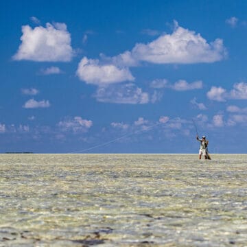 Bonefish, St Brandons, Mauritius, Aardvark McLeod