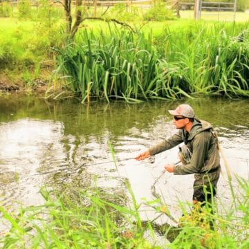 River Wylye, Aardvark Mcleod Fishing