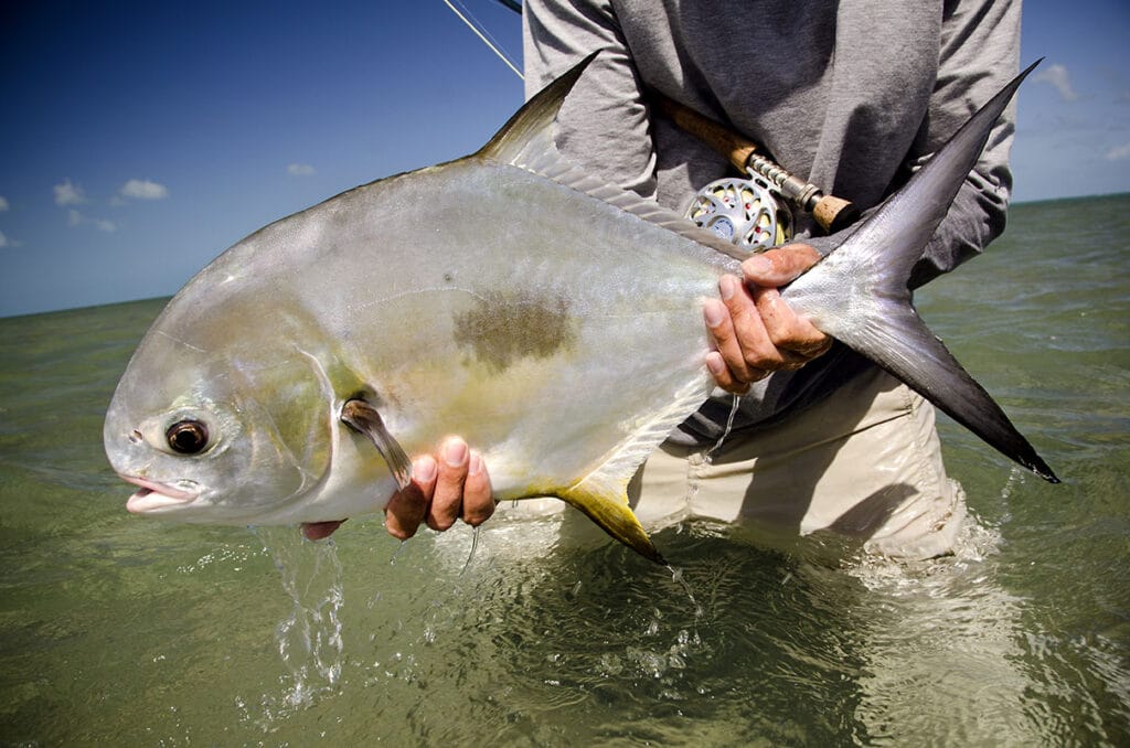 Mayazul Lodge, Mexico permit fishing, Aardvark McLeod