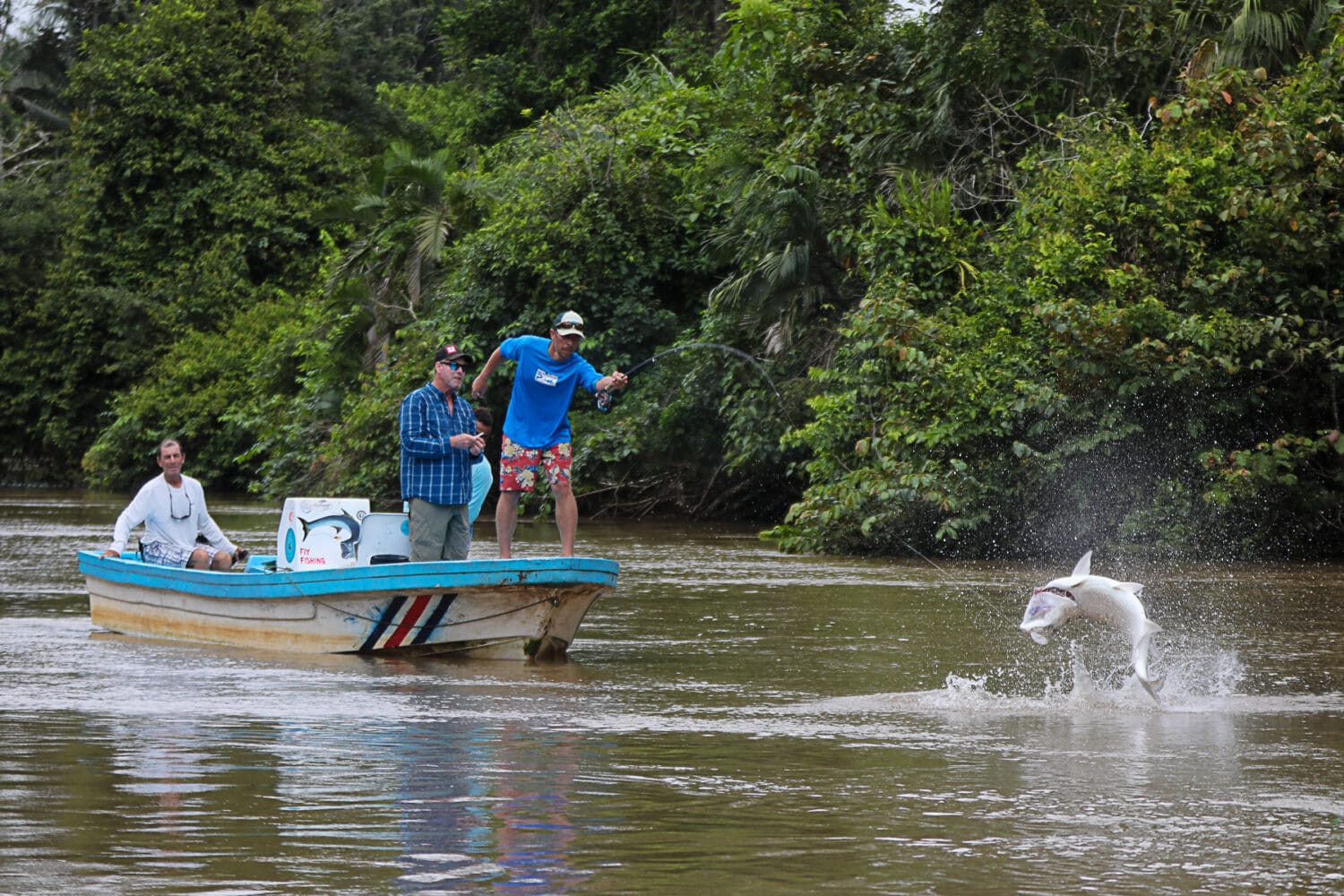 Costa Rica; Jungle Tarpon Combination 2024