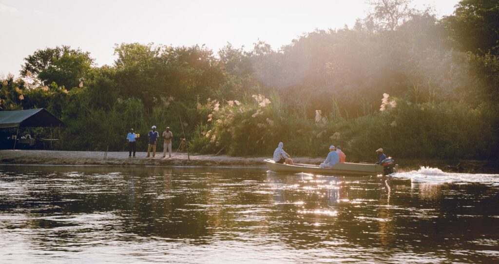 tigerfish on a fly 