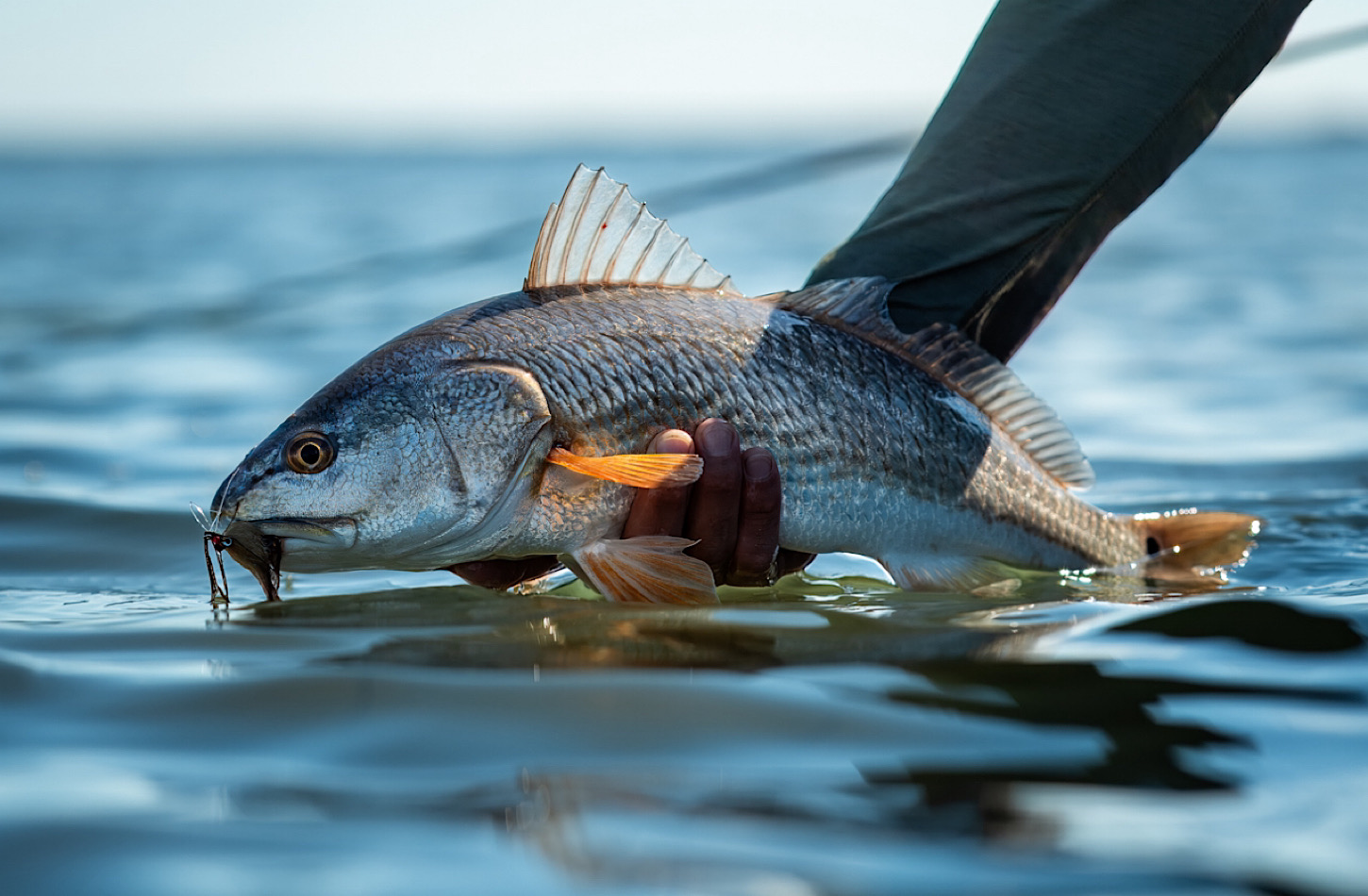 Bay Flats Lodge, redfish, Texas fly fishing, Aardvark McLeod