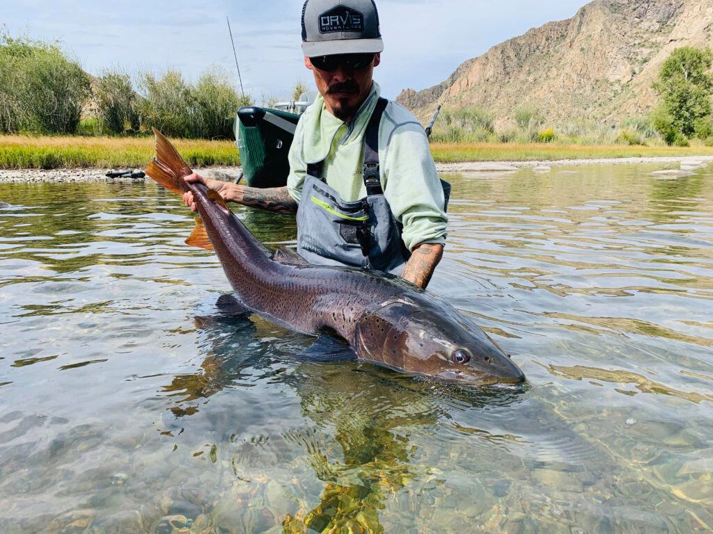 Mongolia River Outfitters, taimen fly fishing, Aardvark McLeod 
