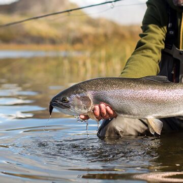 Estancia Tecka, Patagonia, Argentina, Argentina trout fishing, Argentina fly fishing, Aardvark McLeod