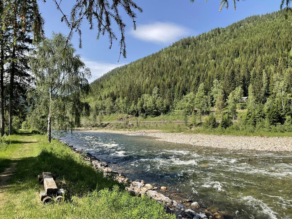 Gaula River Norway, Winsnes Lodge Norway, Atlantic salmon Norway, Salmon Fly Fishing Norway