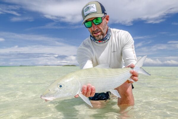 Alphonse and St Francois fishing update