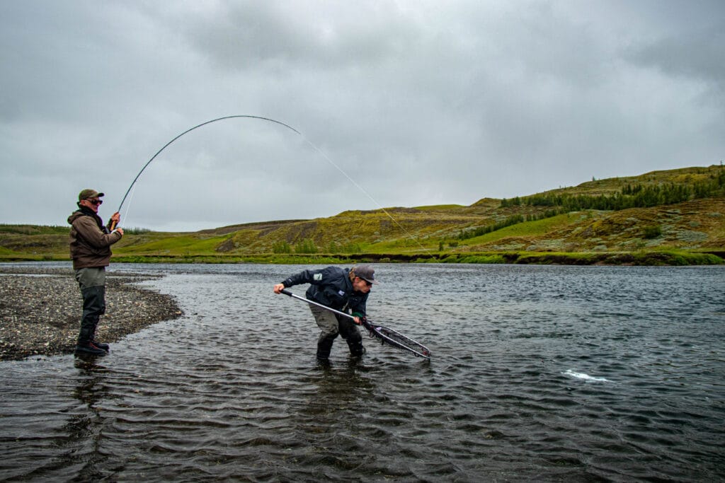 Stora Laxa Iceland, Atlantic salmon Iceland, Salmon Fly Fishing Iceland