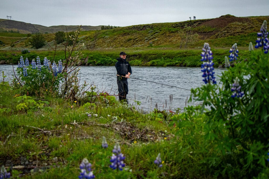 Stora Laxa Iceland, Atlantic salmon Iceland, Salmon Fly Fishing Iceland