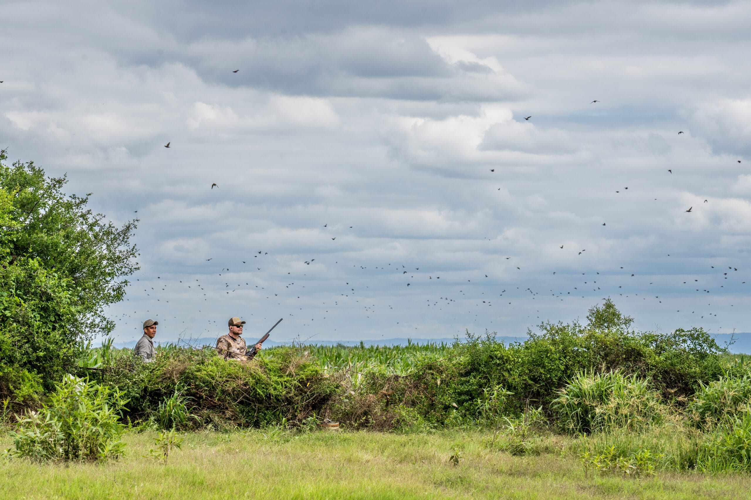 Tucuman Lodge, Argentina dove shooting, Aardvark McLeod shooting