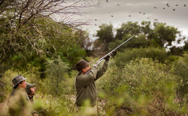 Pica Zuro Lodge, Argentina, dove shooting, Aardvark McLeod