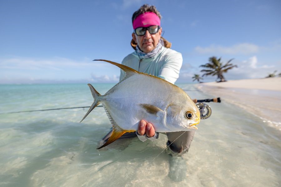 Alphonse Island, fishing reports, Aardvark McLeod 