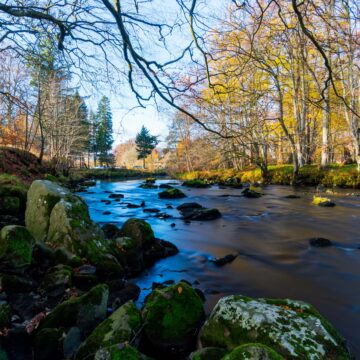 Atlantic Salmon Trust