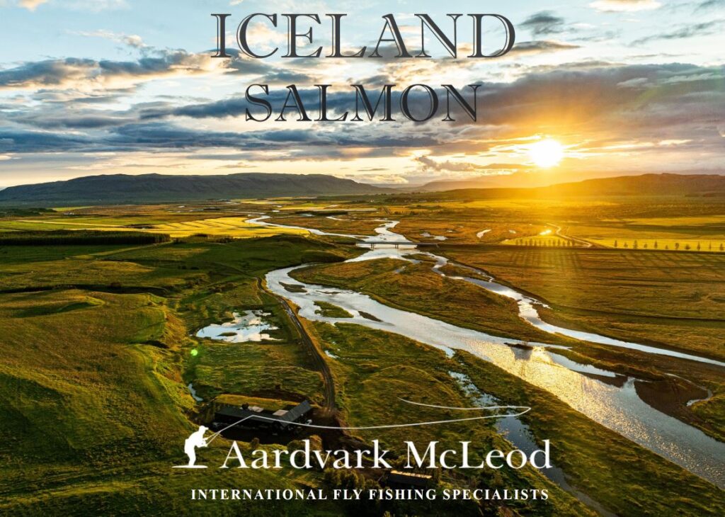 Aardvark McLeod Brochure portfolio, Iceland salmon 