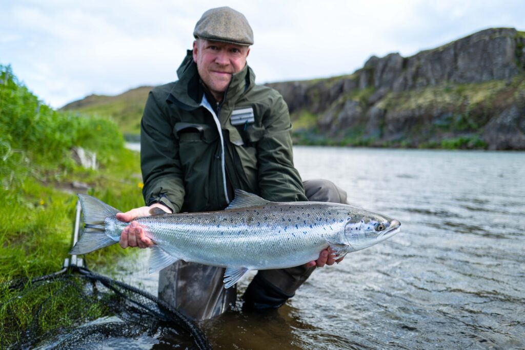 Nordura, Iceland, Aardvark McLeod