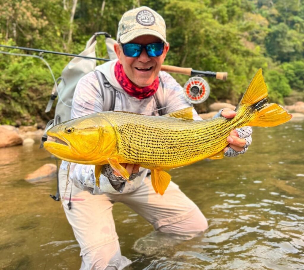 Pluma, Bolivia, golden dorado