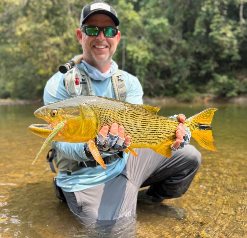 Bolivia heli fishing, golden dorado 